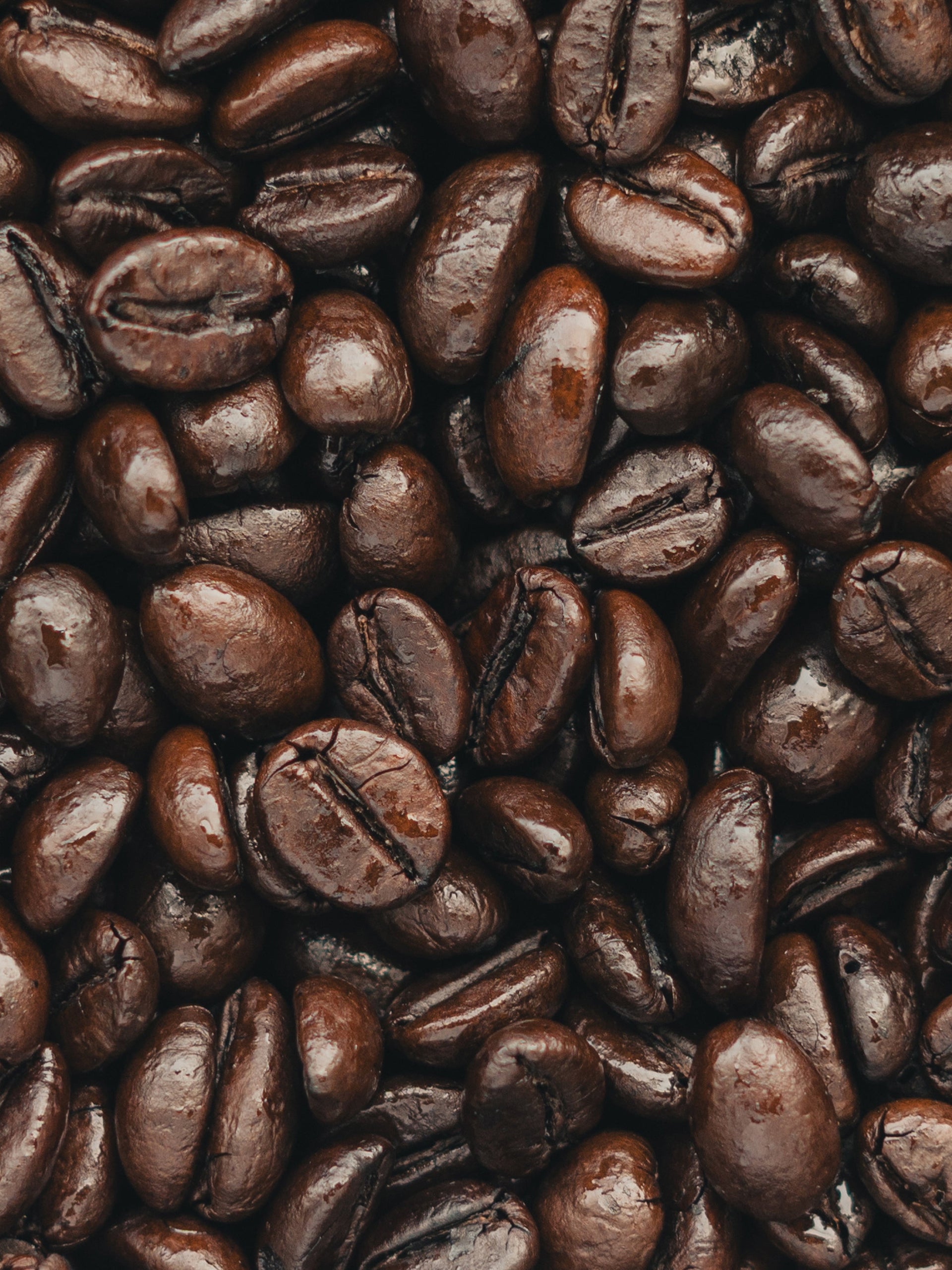 DARK ROASTS