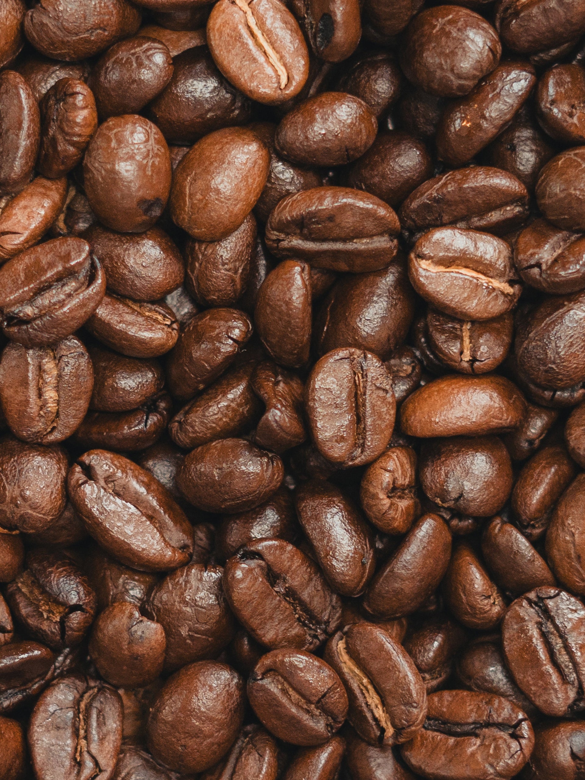 MEDIUM & LIGHT ROASTS
